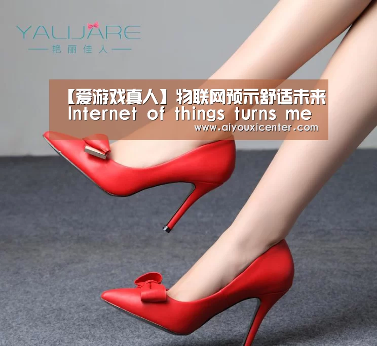 【爱游戏真人】物联网预示舒适未来 Internet of things turns menial tasks into high-te(图3) 爱游戏真人