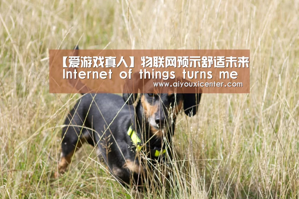 【爱游戏真人】物联网预示舒适未来 Internet of things turns menial tasks into high-te(图2) 爱游戏真人