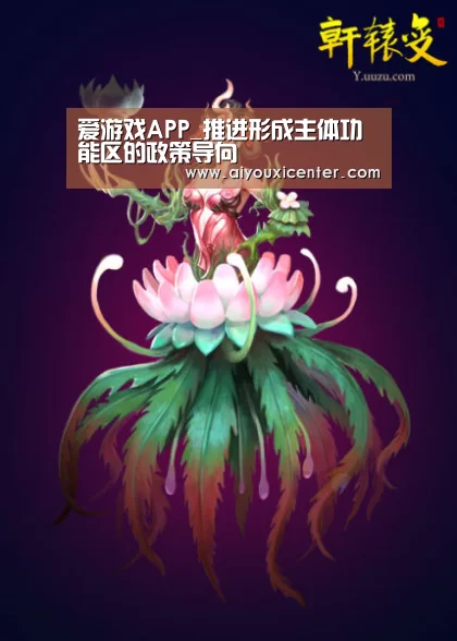 爱游戏APP_推进形成主体功能区的政策导向
