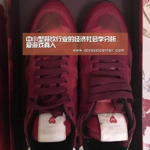 中小型餐饮行业的经济社会学分析_爱游戏真人(图3) 爱游戏赛事