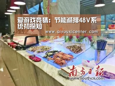 爱游戏竞猜:节能减排48V系统初探知(图4) 爱游戏竞猜
