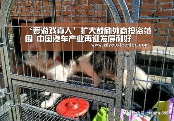 爱游戏赛事