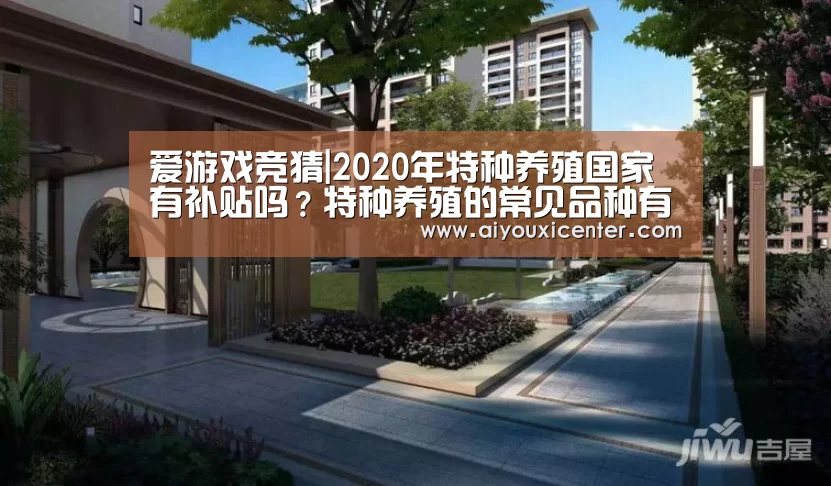 爱游戏竞猜