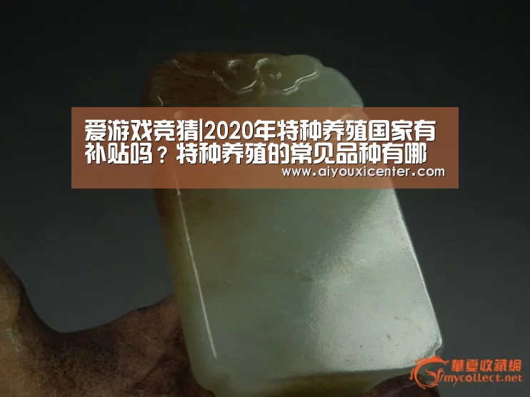 爱游戏APP