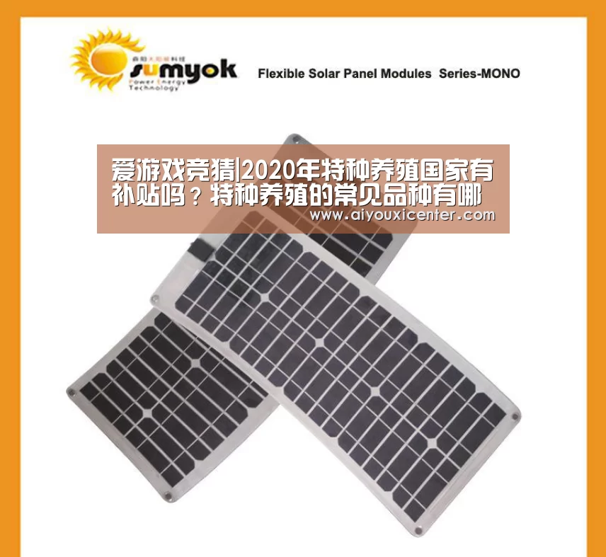 爱游戏APP