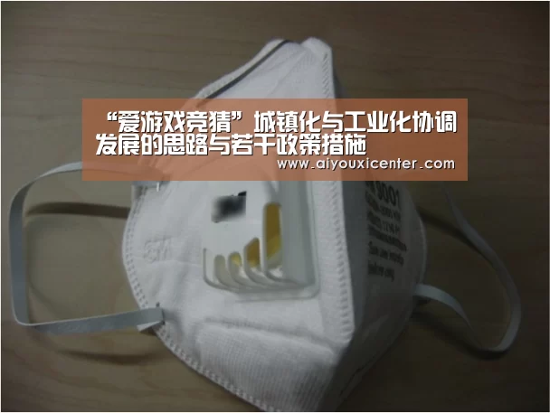 “爱游戏竞猜”城镇化与工业化协调发展的思路与若干政策措施(图4) 爱游戏APP